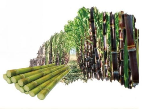 環(huán)保新材料與新技術(shù)黑科技開拓新市場